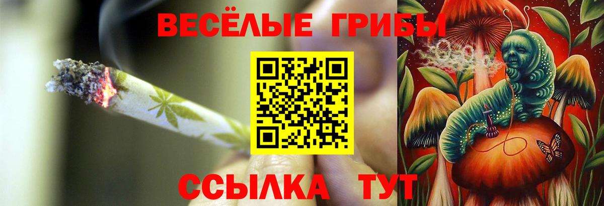 Галлюциногенные грибы MAGIC MUSHROOMS Барабинск